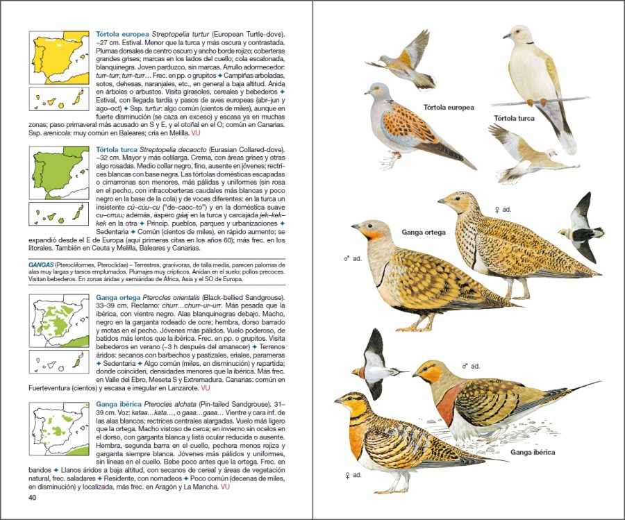 Aves de España sample page